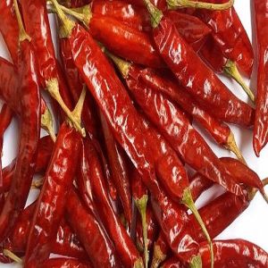 S4 Sannam Red Chilli