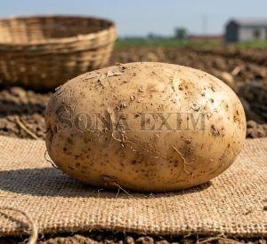 Fresh Potato