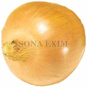 Fresh Yellow Onion