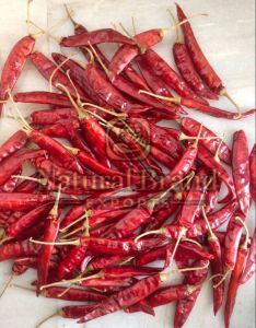 334 Sannam Red Dry Chilli