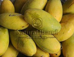 A Grade Dasheri Mango