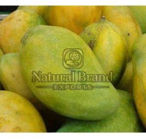 A Grade Langra Mango