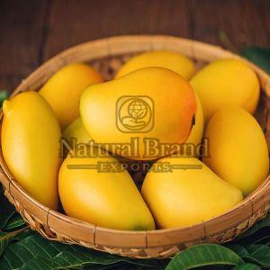 A Grade Natural Alphonso Mango