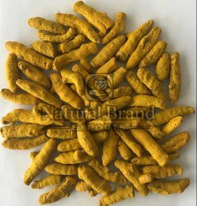 Dried Alleppey Turmeric Finger