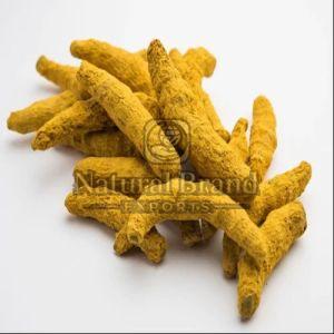 Erode Turmeric Finger