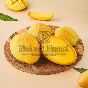 Fresh Banganapalli Mango