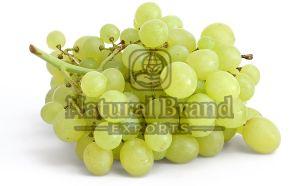 Fresh Green Grape