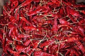 Kashmiri Dry Red Chilli