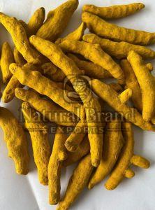 Lakadong Turmeric Fingers