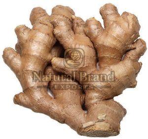 Natural Fresh Ginger