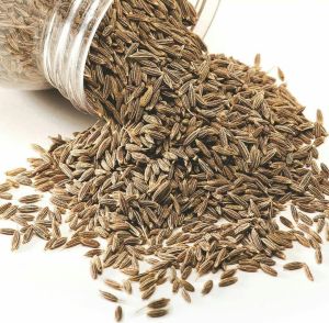 Bold Aroma Cumin Seeds