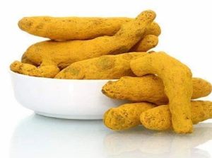 Natural Raw Turmeric Finger
