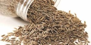 Premium Whole Cumin Seeds