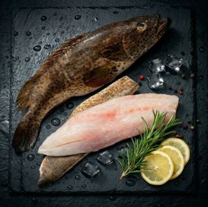 Brown Frozen Grouper Fish