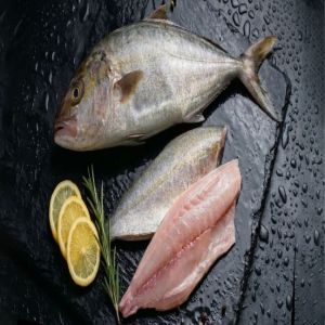 Frozen Amberjack Fillet