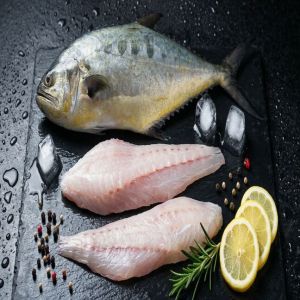 Frozen Queen Fish