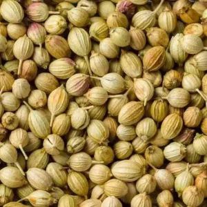 Badami Machine Clean Coriander Seed