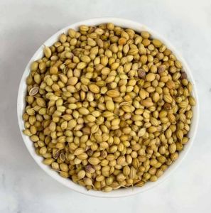 Badami Sortex Clean Coriander Seed