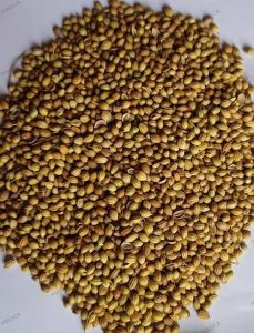 Eagle Machine Clean Coriander Seed