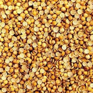 Eagle Plus Machine Cleaned Coriander Seed