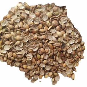 Eagle Sortex Clean Coriander Seed