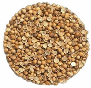Eagle Split Sortex Coriander Seed