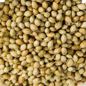 Scooter Machine Cleaned Coriander Seed