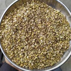 Scooter Split Coriander Seed