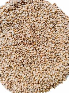 SP Split Machine Cleaned Coriander Seed