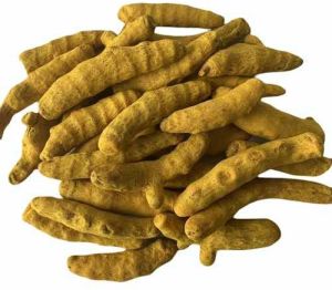 Whole Dry Turmeric Finger