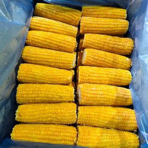 Frozen Sweet Corn