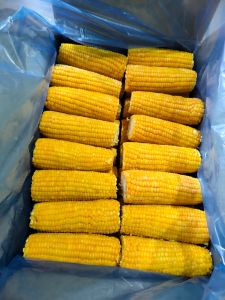 Vacuum Packed Corn