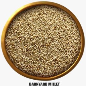 Barnyard Millet