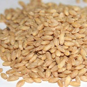 Hulled Barley