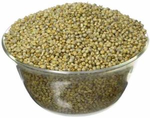Hybrid Millet