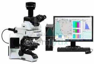Psd Analysis Service