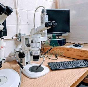 Tem Analysis Service
