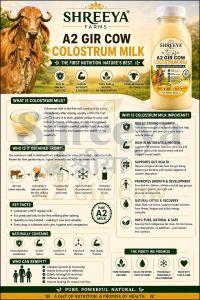 A2 Gir Cow Colostrum Milk
