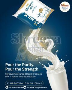 A2 Gir Cow Milk