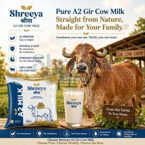 A2 Gir Cow Milk