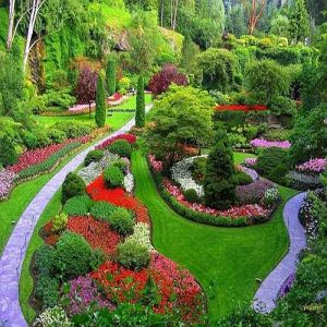 Natural Plants Landscaping Services