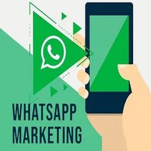 Whatsapp Marketing Service