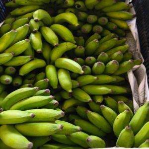 A Grade Fresh Yelakki Banana