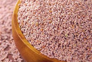 Psyllium Husk Seed