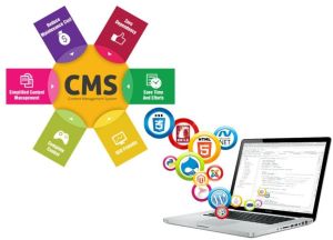 CMS Website Development Services
