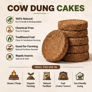 Cow Dung Cake