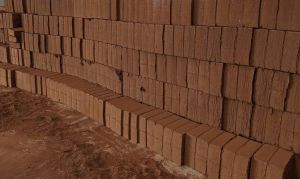 Coco Peat Block