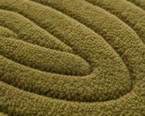 Premium Wool Living Room Carpet