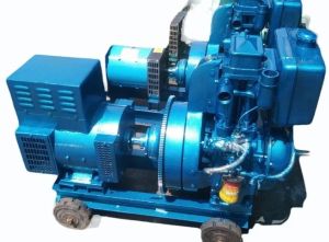 Prakash 10 Kva Heavy Duty Diesel Generator