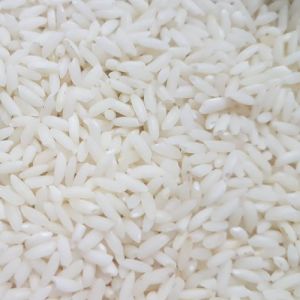 Sona Masoori Non Basmati Rice